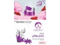 tsmym-brofayl-alshrkat-aarod-aayd-alftr-2023-afdl-saar-100-small-4