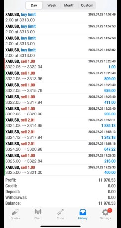 altosyat-althhby-oadar-mhfthtk-balashm-alsaaody-oalamryky-oalaamlat-baaaly-rbh-yomy-mn-mktbna-alastshary-bors-bros-big-4